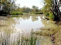 Loddon River