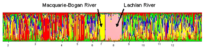 Coloured Graph showing large area of colour for Macquarie-Bogon River and Lachlan River