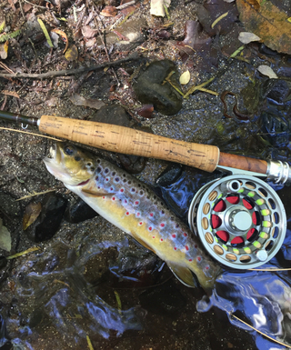 Female fly fishing guide fishing on Steavenson River, Victoria