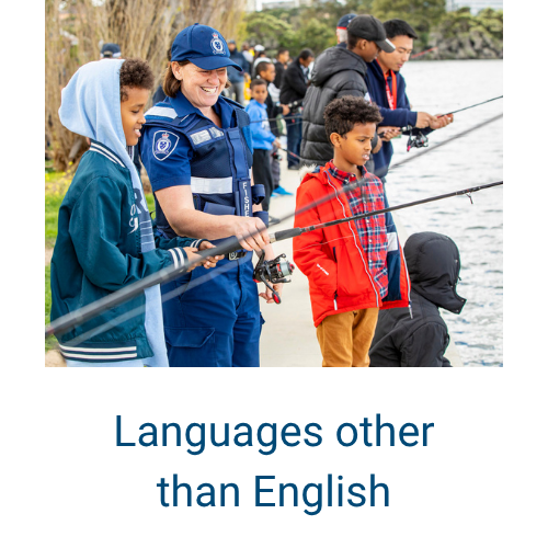 The guide in languages other than English