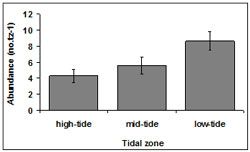 &quot;This graph shows the mean SE tidal zone abundance. high tide - 4, mid tide - 6, low tide - 9&quot;