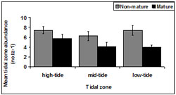 &quot;This graph shows the mean SE tidal zone abundance of immature and mature pipis. Non mature: High-tide 7.5, mid-tide 6.5, low tide 8. Mature: high-tide 5.8, mid-tide: 4, low-tide: 4&quot;