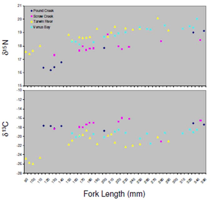  Appendix 9. Variation in stable carbon and nitrogen isotopes of estuary perch with change in fish size (fork length) across each sampling location within Anderson Inlet. 