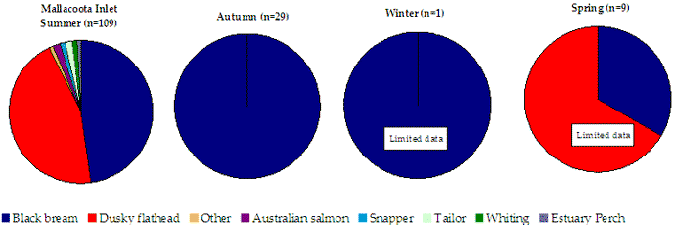 Figure 12. Pie chart shows the targeted species for each season with black bream being the majority in winter whilst dusky flathead had more than half in spring and summer.