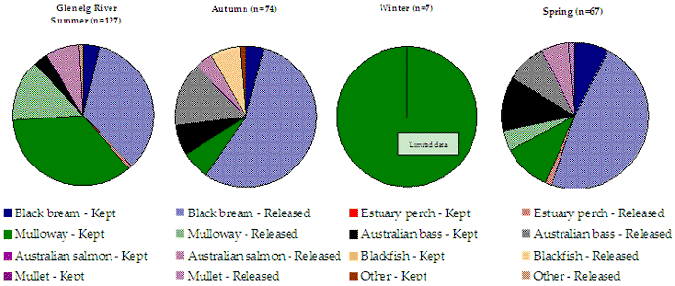 Figure 29. Pie chart shows the catch composition split by kept and released for each season.