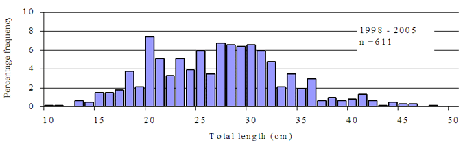 Figure11 - Bar chart showing composition of brown trout caught in the Goulburn River. The chart shows the most frequent size to be 20cm.