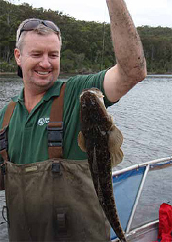 Dusky flathead (Platycephalus fuscus) caught be a recreational fisher. Picture J. Hindell.