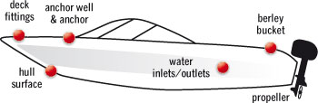 Boat Target Areas