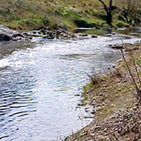 Tambo River