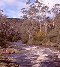 Wellington River