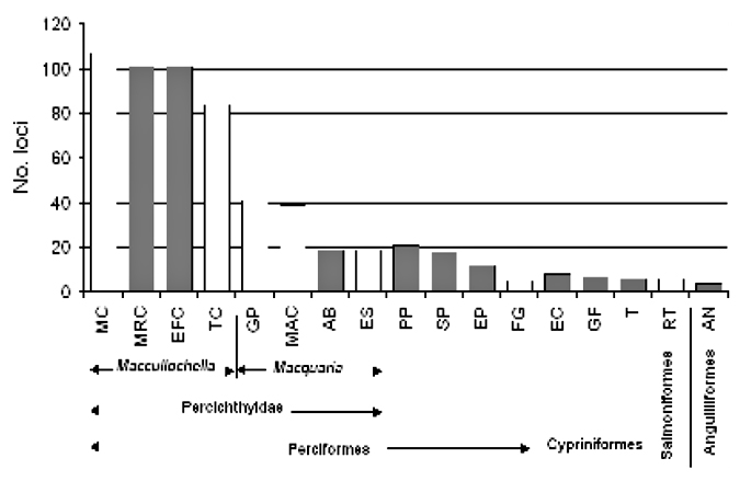 Graph showing No. loci(y),markers(x)