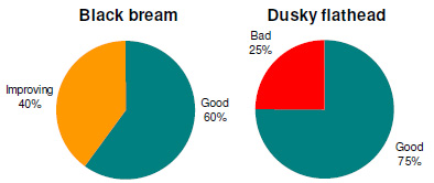 Angler perceptions of the status of black bream and dusky flathead stocks in Mallacoota Inlet.