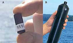 Fig 3. (A) V8SC acoustic transmitter and (B) VR2 acoustic receiver