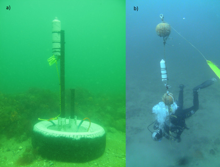 Underwater listening stations identify individual fish as they move within 400 m of them.