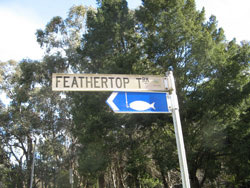 Photograph showing the signboard of feathertop track road. Below the road signboard is another board showing that fishing venue ahead.