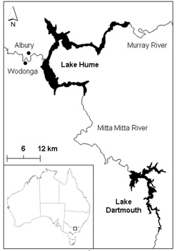 Figure 2. Map of Lake Hume and Lake Dartmouth systems in northeastern Victoria.