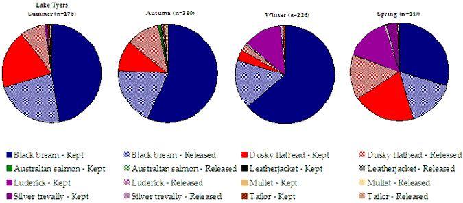 Figure 21. Pie chart shows the catch composition in Lake Tyers split by kept and released.