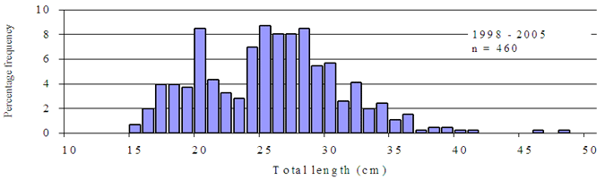 Figure12 - Bar chart showing composition of rainbow trout caught in the Goulburn River. The chart shows the most frequent sizes to be 20cm and 25cm.