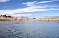Tullaroop Reservoir