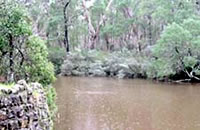 Crawford River