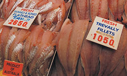 Flathead and trevally on display at fish market