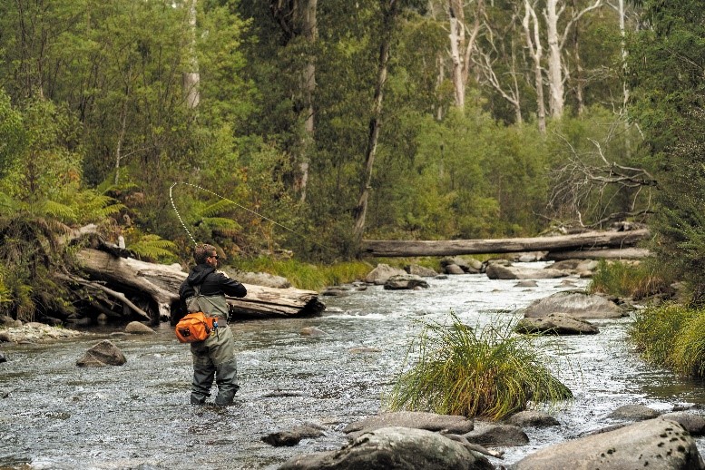 How to catch Trout in the Summer - Victorian High Country – Trellys