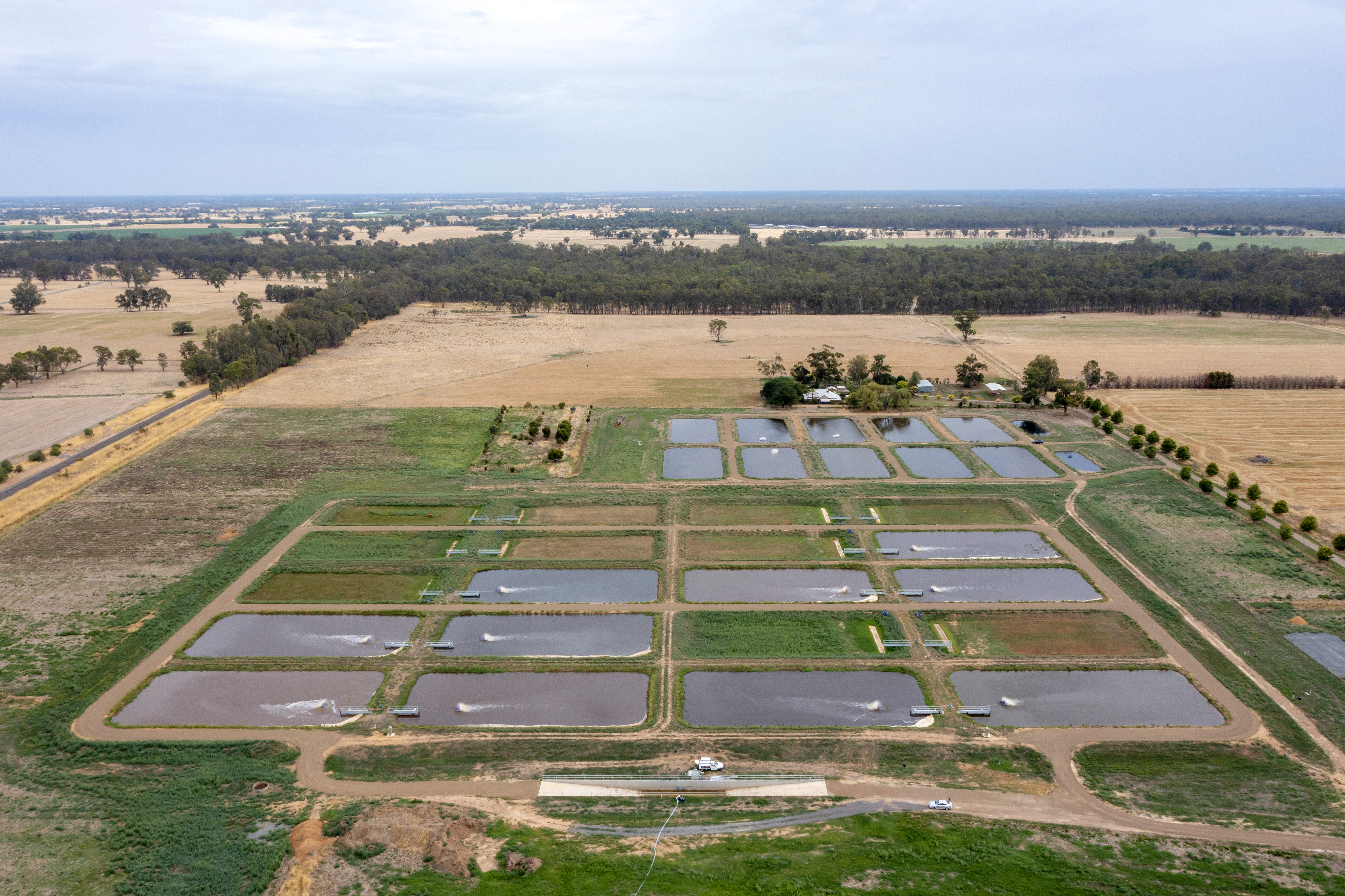 Rebuilding Catfish Populations in Northern Victoria - VRFish