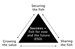 Figure 2. Graphic of Fisheries Victoria&amp;#39;s vision of success