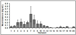 &quot;This graph shows the mean SE biomass across sampling period. Transect 1: ~0.05, Transect 2: ~0.08, Transect 3: ~0.21, Transect 4: ~0.22, Transect 5: ~0.13, Transect 6: ~0.2, Transect 7: ~0.5, Transect 8: ~0.3, Transect 9: ~0.12, Transect 10: ~0.12, Transect 11: ~0.1, Transect 12: ~0.08, Transect 13: ~0.04, Tranect 14: 0.02, Transect 15: ~0.03, Transect 16: ~0.04, Transect 17: ~0.03, Transect 18: ~0.05, Transect 19:0, Transect 20: ~0.05 &quot;