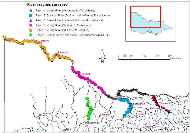 Figure 1. Showing the location and distribution of survey effort during the Murray cod creel surveys over two fishng seasons (2006-2008) along the River Murray and Goulburn, Ovens and Loddon rivers. Each symbol represents the random location where daily survey effort started or ended.