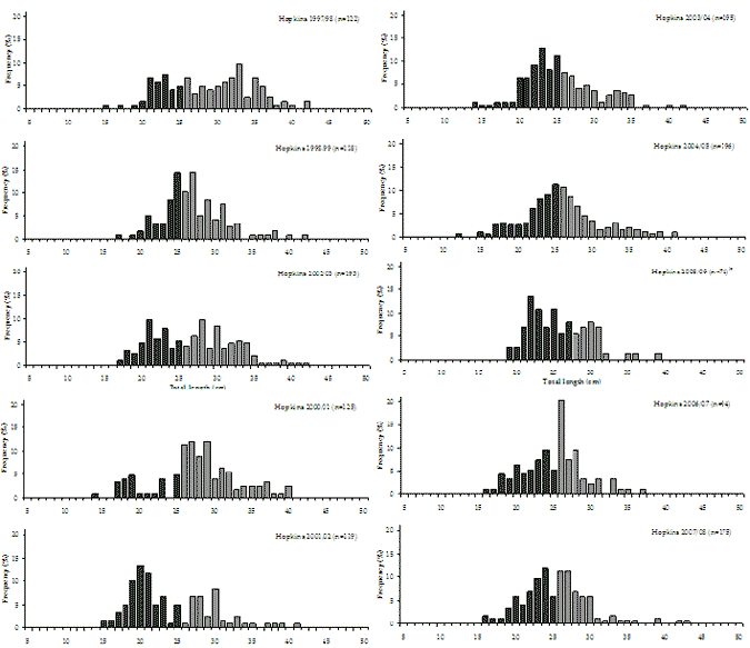 Figure 31. Bar chart shows the length and frequency distribution of black bream in the Hopkins River estuary