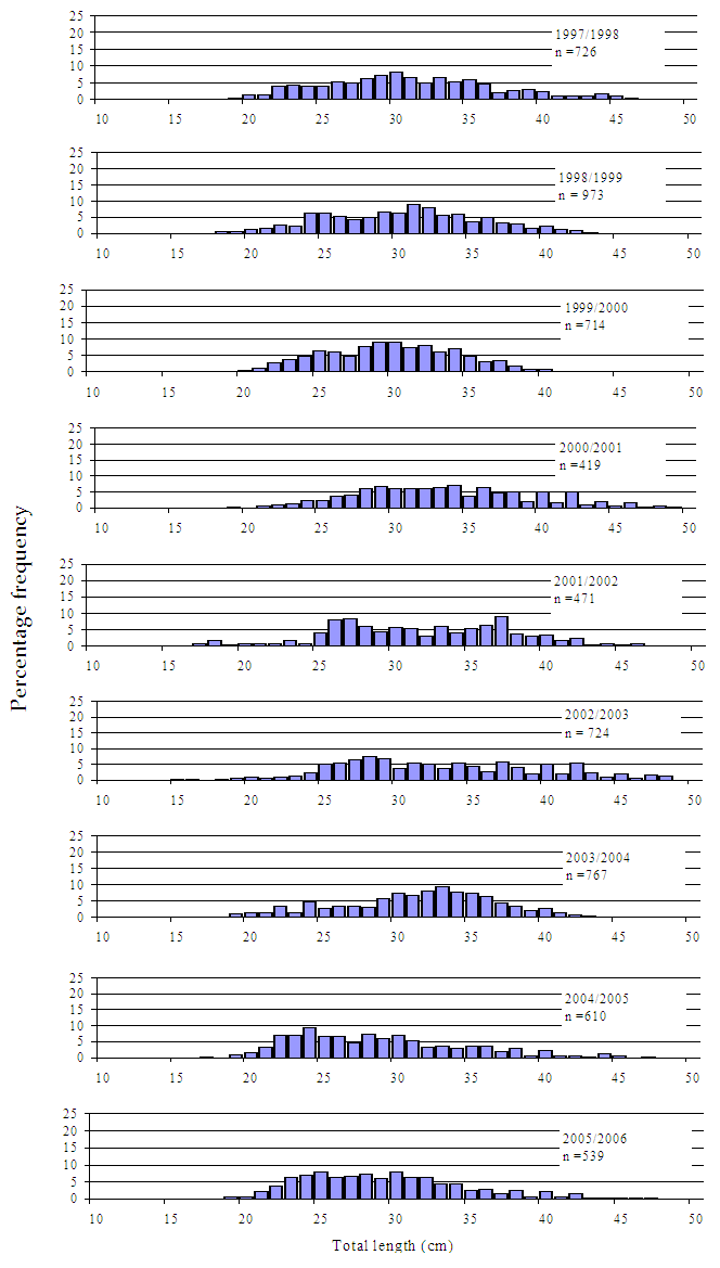 Figure4 - Several bar charts showing size composition of King George whiting caught in Port Phillip Bay. The charts show the sizes to be consistant although peaking in 01/02.