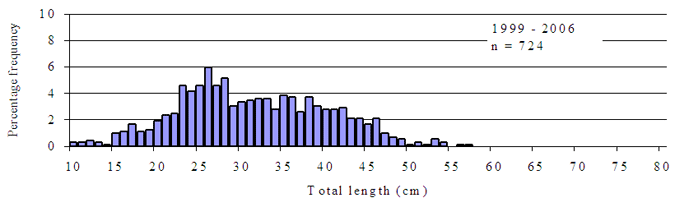 Figure13 - Bar chart showing composition of golden perch caught in the Murray River. The chart shows the most frequent size to be 27cm.