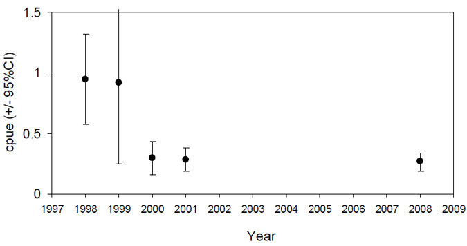 Annual trends in elephant fish targeted mean daily CPUE (number of fish / angler hour) from charter boat survey.