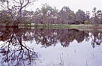 Cummins Reserve Lake