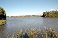 Lake Guthridge