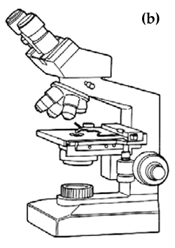 microscope b