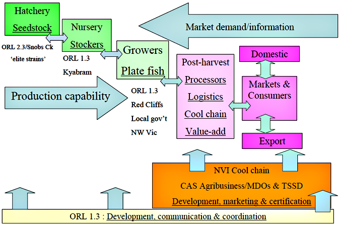A schematic summary of the emerging value chain for integrated & aquaculture of Murray cod and other finfish products as part of a multi water-use approach to irrigated horticulture and dairy farming in Victoria; role of linked DPI projects and capabilities vfacted where appropriate.