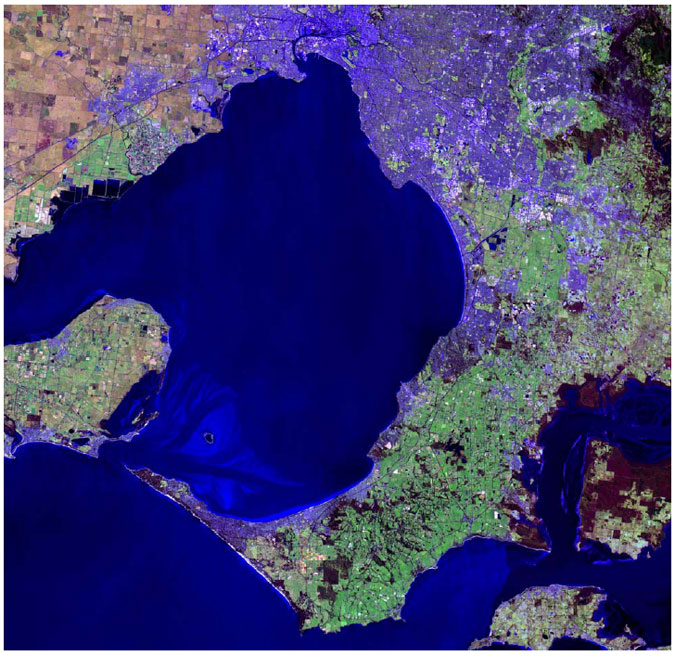 Landsat image of Port Phillip with the approximate position of the Proposed aquaculture zone indicated by the red star.