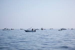 Boats at sea