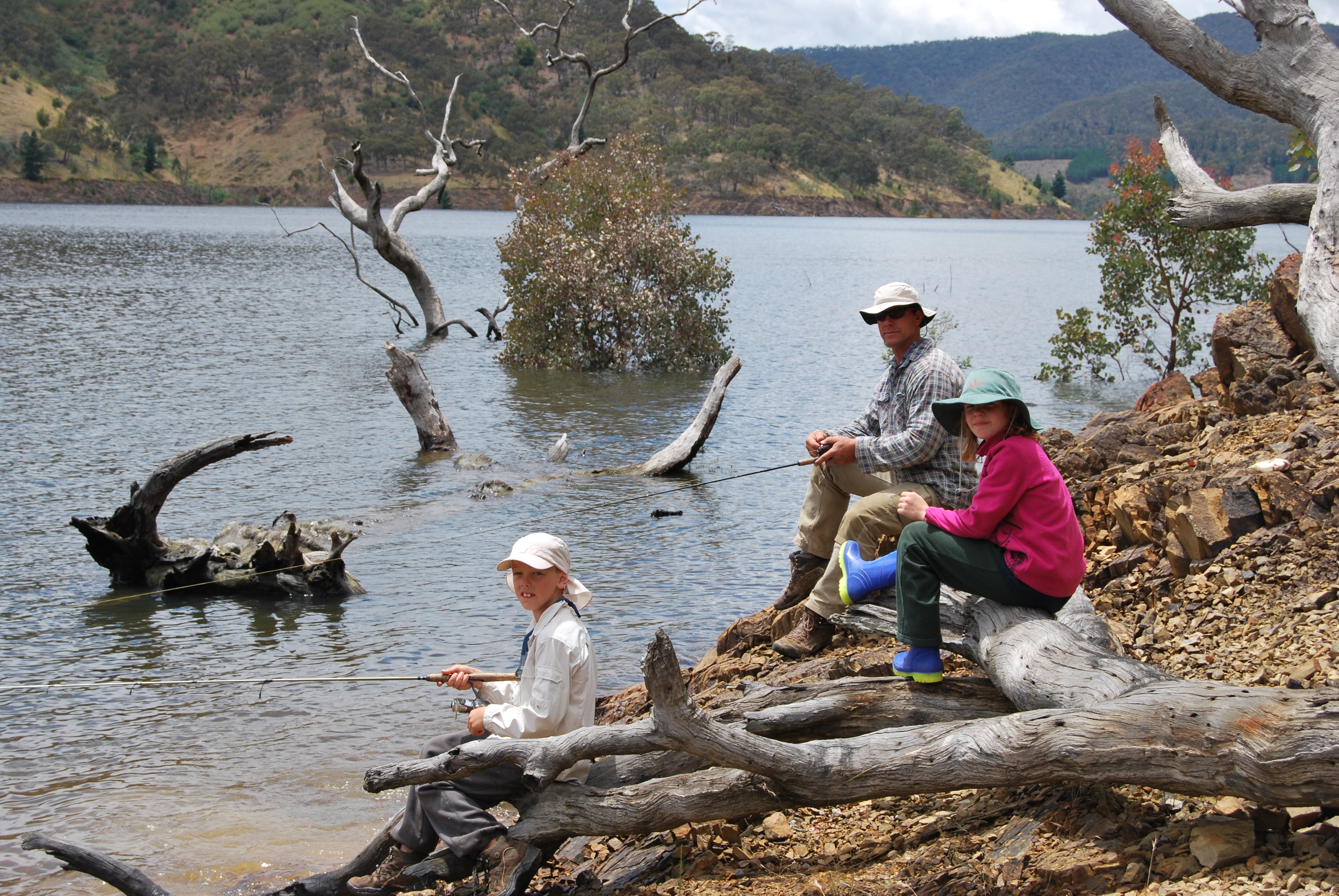 Brown and rainbow trout - VFA