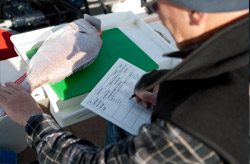 Anglers provide valuable fisheries research through the Angler Diary Program.