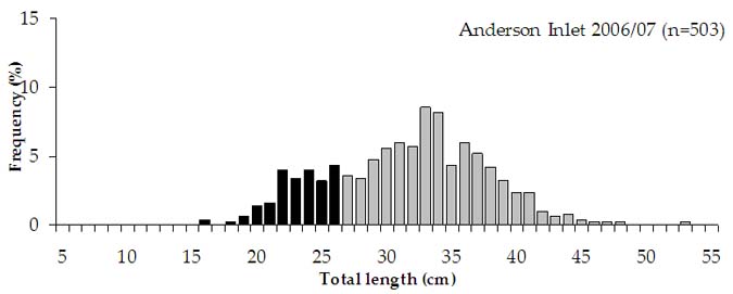  Figure 11. Length (TL) distribution of estuary perch caught by research anglers fishing in Anderson Inlet for 2006/07 (n = number of fish measured). *The LML for estuary perch (25 cm) was revised and the new LML of 27 cm TL became effective in March 2009. 
