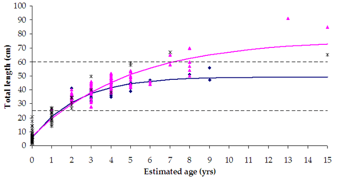 Figure 8 - Line chart plotting the age vs age of fish and the line shows a rise of 20cm in length.