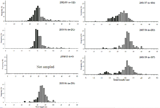 Figure 15. Bar charts show the length frequency distribution of black bream in Lake Tyers which trend to be getting longer in recent years