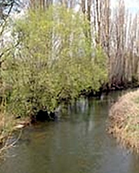 Delatite River