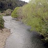 Howqua River