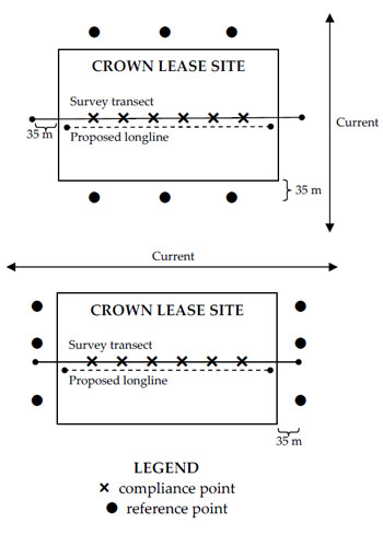 Schematic of Crown lease site indicating approximate placement of the survey transect, reference points and compliance points in relation to current (diagram not to scale). The cross represents the compliance point. The black circle represents the reference point.