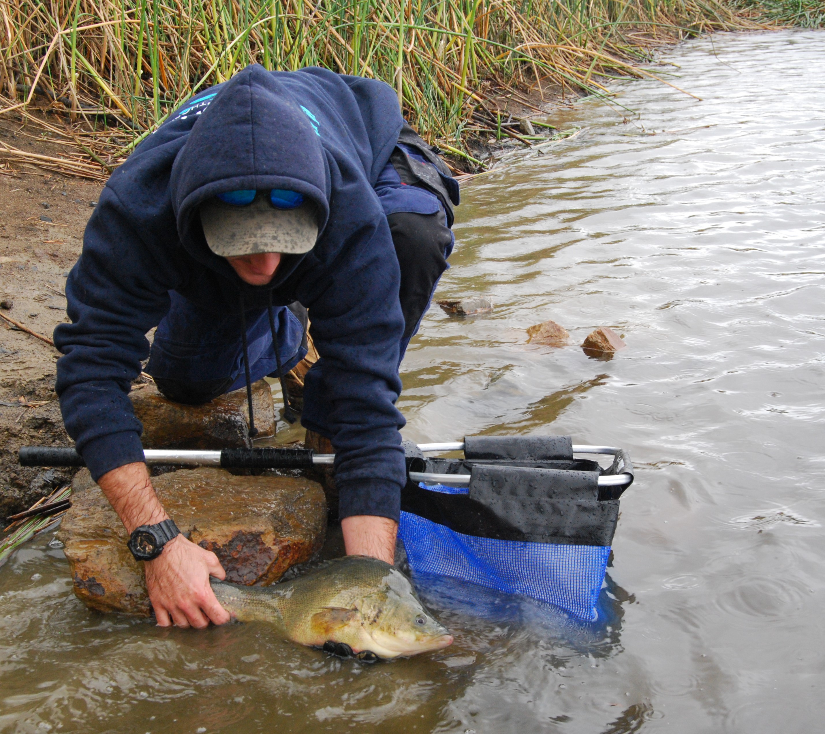 Roxburgh Park 3064, VIC, Fishing