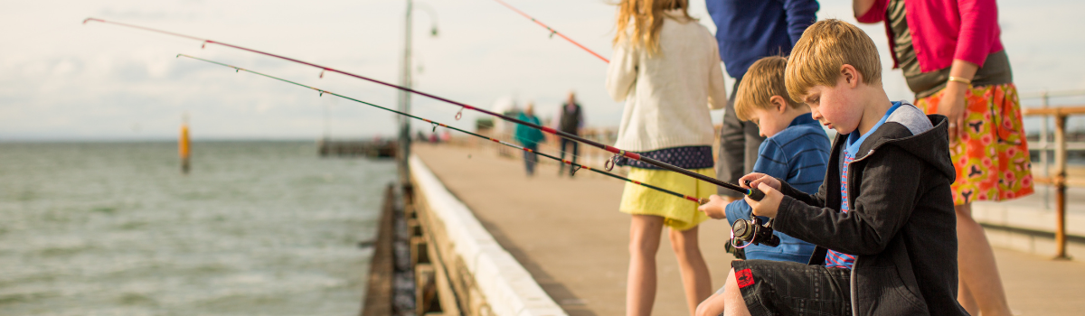 reels in Geelong Region, VIC, Fishing